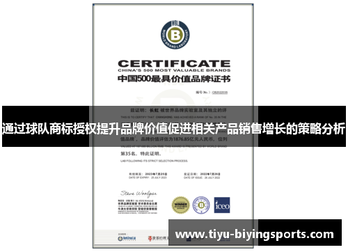 通过球队商标授权提升品牌价值促进相关产品销售增长的策略分析 通过球队商标授权提升品牌价值促进相关产品销售增长的策略分析